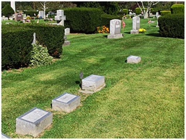 cemetery grounds