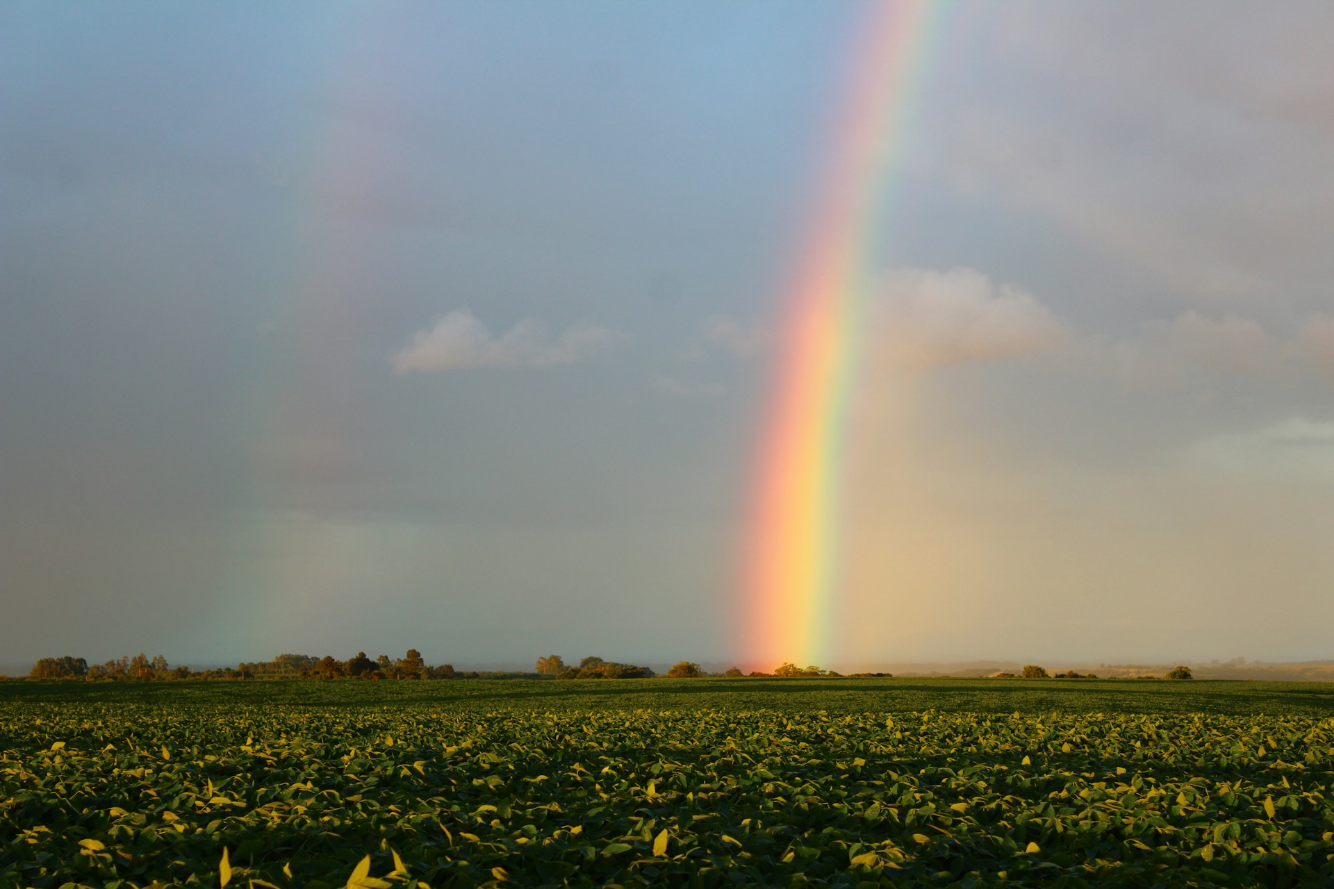 rainbow long island