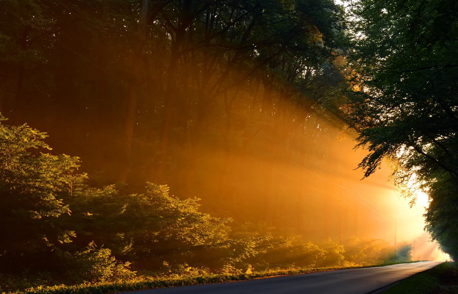 sunlight on road