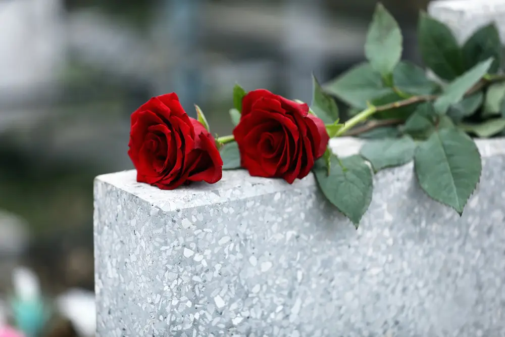 white headstone with roses on top